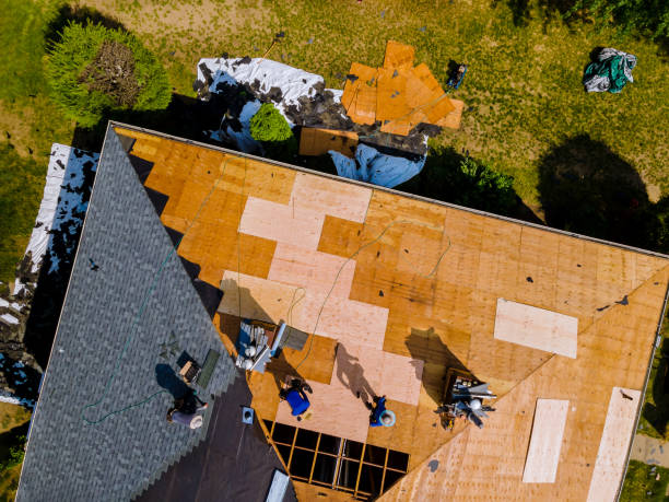 Best Residential Roof Replacement  in Mcgregor, FL