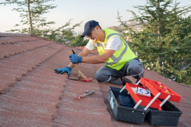 Quick and Trustworthy Emergency Roof Repair Services in Mcgregor, FL